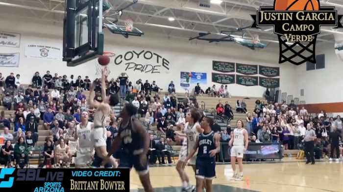 Arizona boys basketball highlights photo